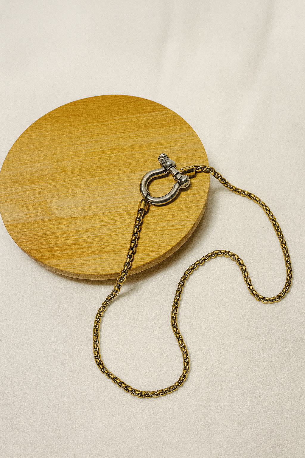 True link steel & gold necklace